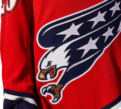 Washington Capitals Reverse Retro Team Jersey