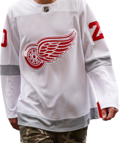 Detroit Red Wings Reverse Retro Team Jersey