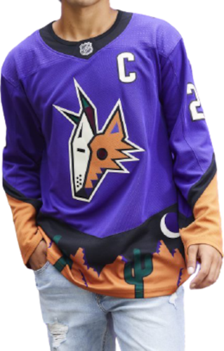 Arizona Coyotes Reverse Retro Team Jersey