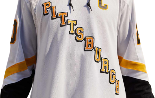 Pittsburgh Penguins Reverse Retro Team Jersey